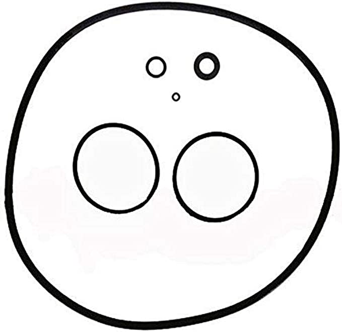 R0466300 Jandy O-ring Set for Cs Filter