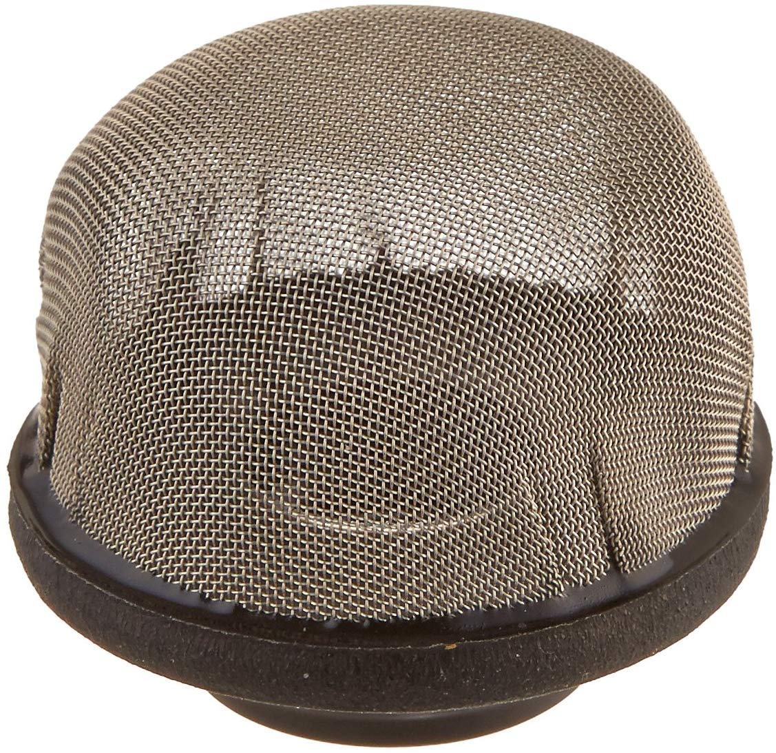 Pentair 172855 FNS/Nautilus 3/4" Stainless Steel Air Vent Strainer