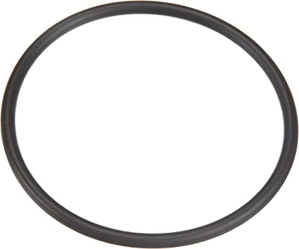 Pentair 35505-1425A System 3 Bulkhead O-Ring